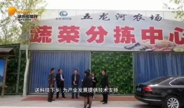 潍坊头条爆料高密新闻,潍坊头条最新爆料揭示热点事件